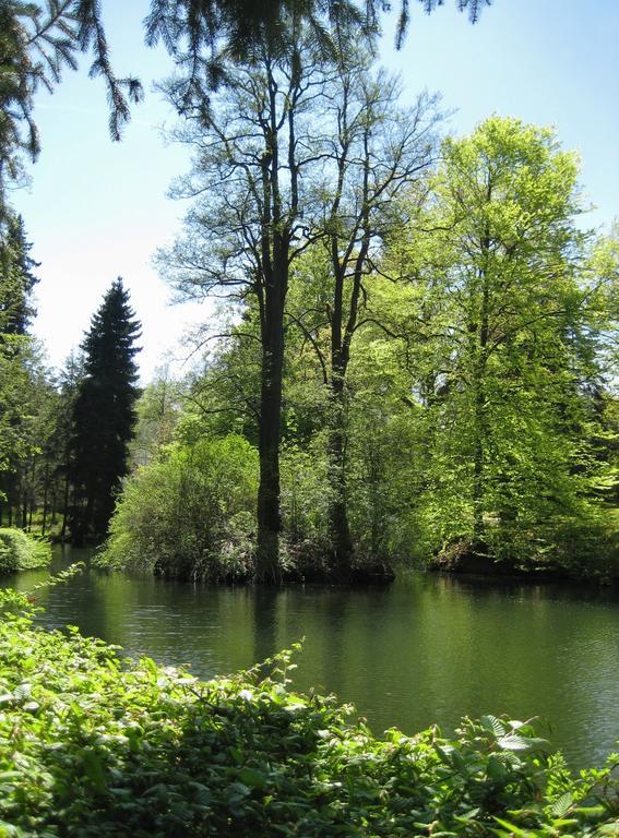 Augustenhof Bad Elster Extérieur photo